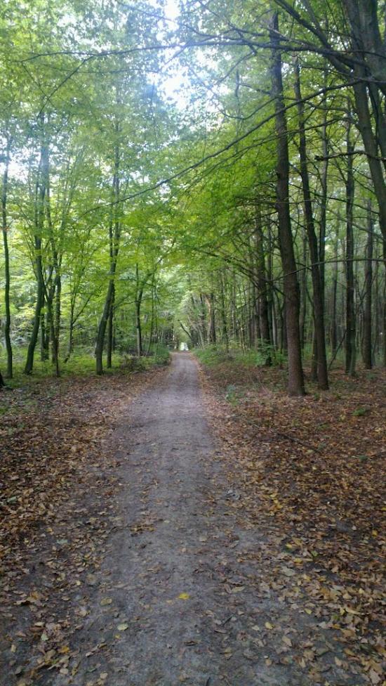 Лаврів з panoramio.com - Лавров