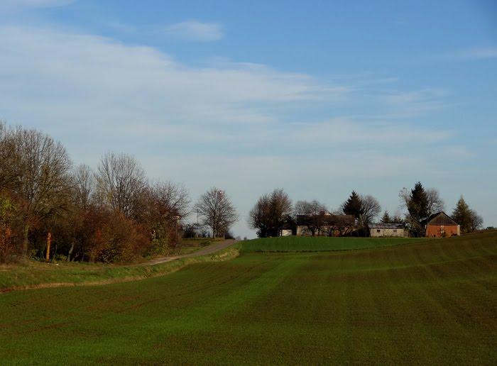 Корчів з panoramio.com - Корчів