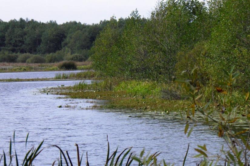 Млин з panoramio.com - Mlyn
