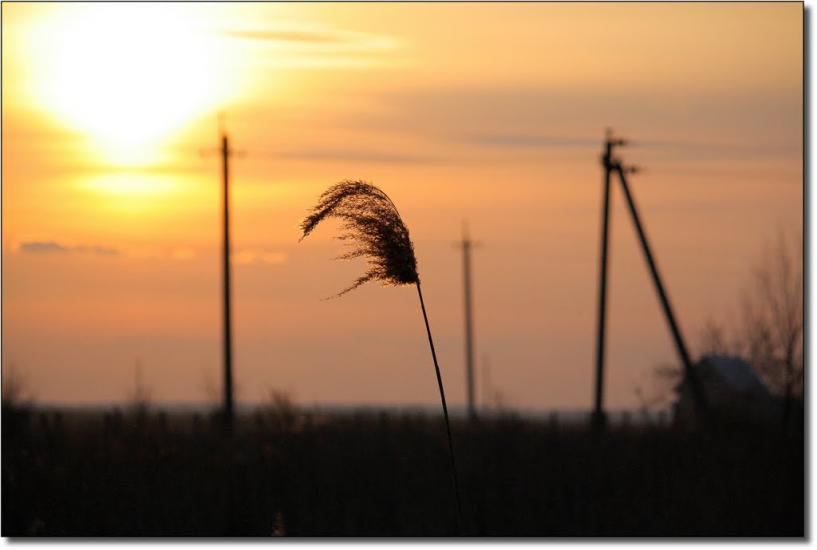 Березань з panoramio.com - Березань