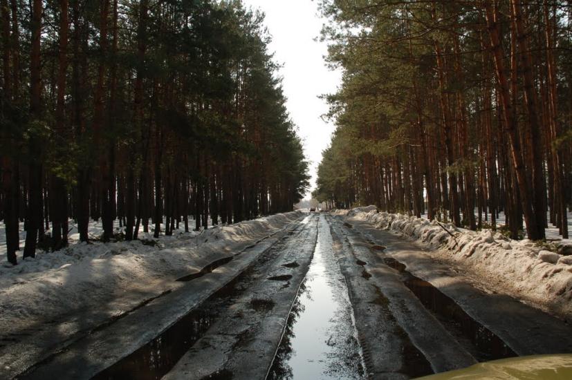 Літочки з panoramio.com - Леточки