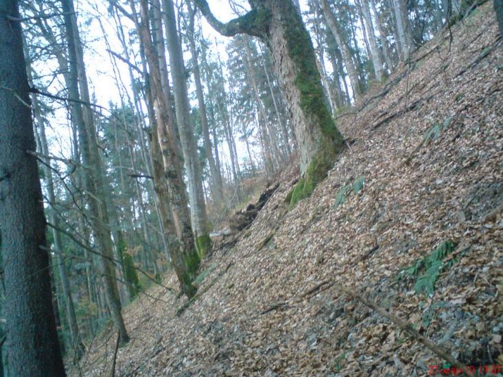 Нижня Рожанка з panoramio.com - Нижняя Рожанка