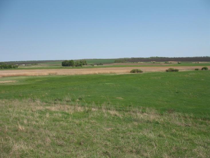 Аркадівка з panoramio.com - Аркадівка