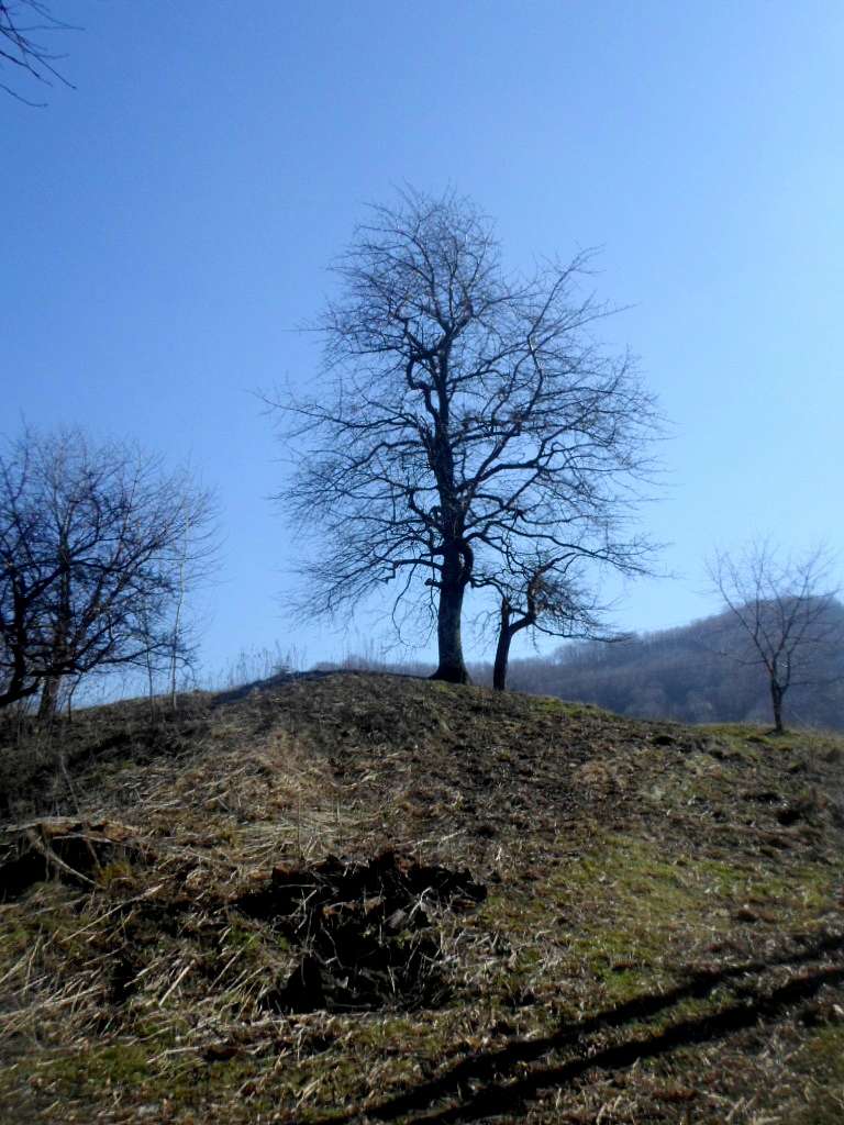 краєвид - Rozgirche