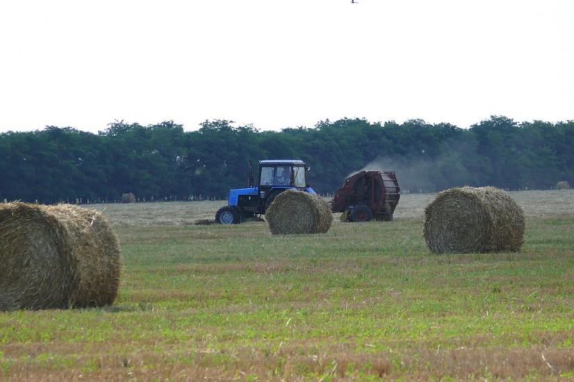 Миронівка з panoramio.com - Мироновка