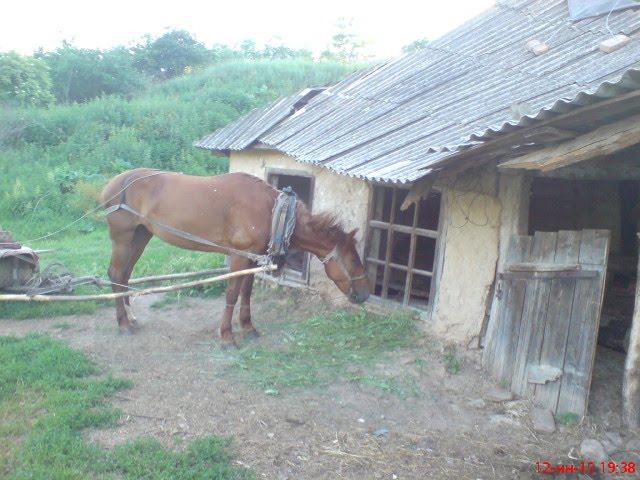 Бабичівка з panoramio.com - Бабичівка