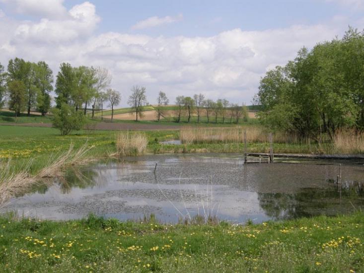 Корчів з panoramio.com - Корчев
