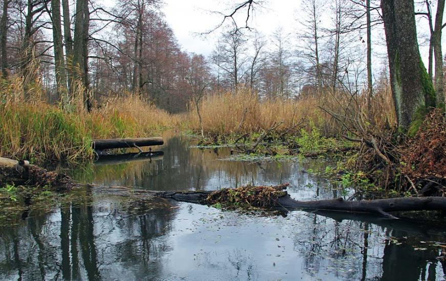 Бережниця з panoramio.com - Бережниця