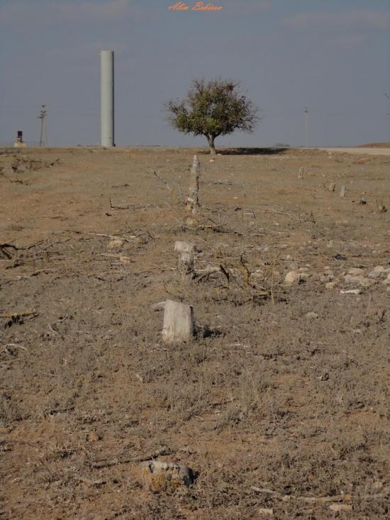 Вересаєве з panoramio.com - Вересаєве