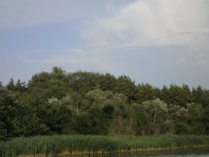 Павлопіль з panoramio.com - Павлопіль