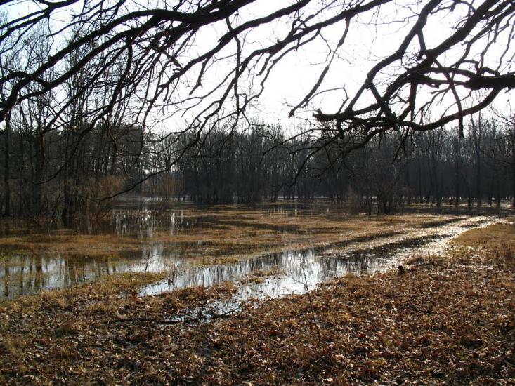 Булахівка з panoramio.com - Булахівка