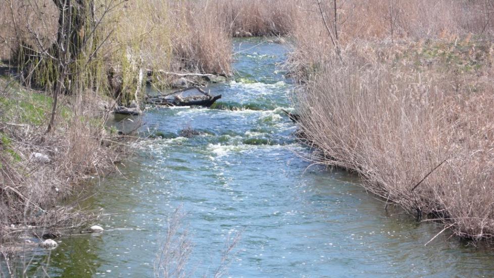 Берегове з panoramio.com - Береговое