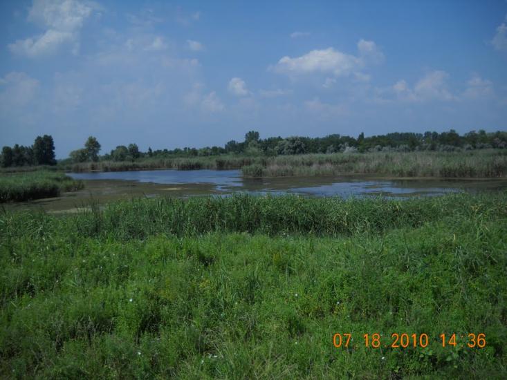 Солонці з panoramio.com - Солонцы