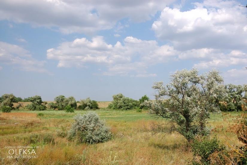 Давидове з panoramio.com - Давидове