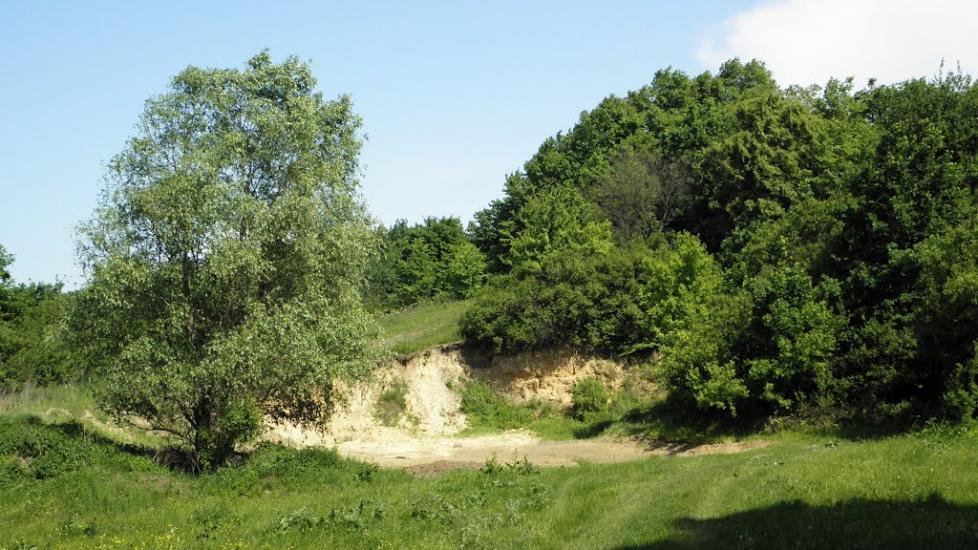 Остапенки з panoramio.com - Остапенки