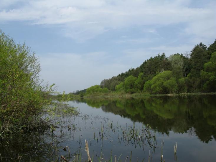 Стрижавка з panoramio.com - Стрижавка