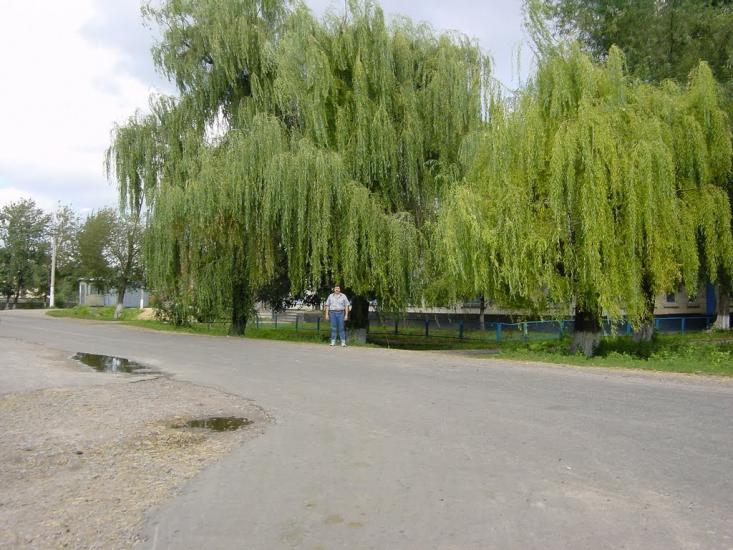 Острів з panoramio.com - Острів