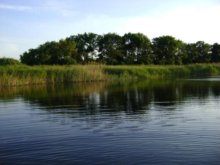 Комар з panoramio.com - Комар