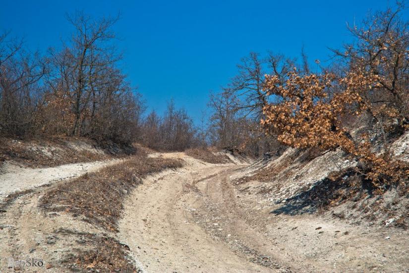 Скалисте з panoramio.com - Скалисте