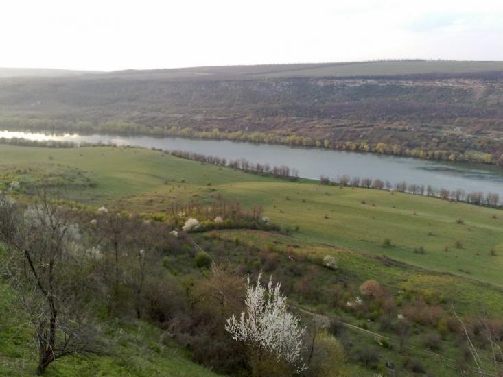 Олексіївка з panoramio.com - Алексеевка