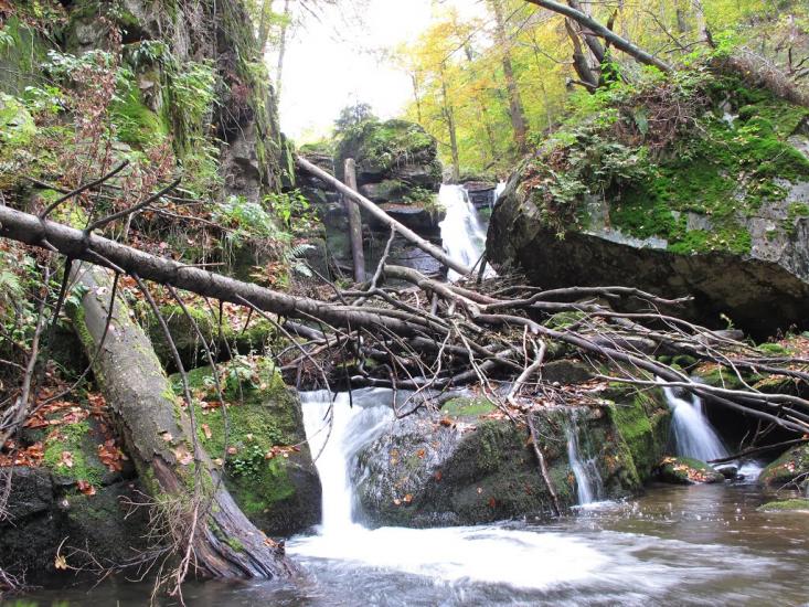 Полянська Гута з panoramio.com - Полянська Гута