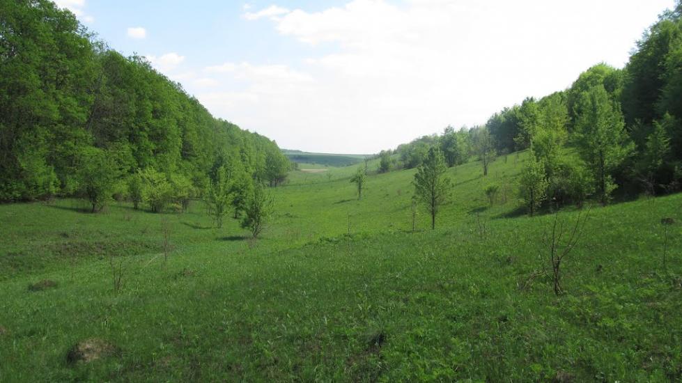 Гутницька з panoramio.com - Гутницька