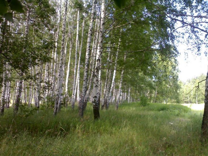Ватутіне з panoramio.com - Ватутіне