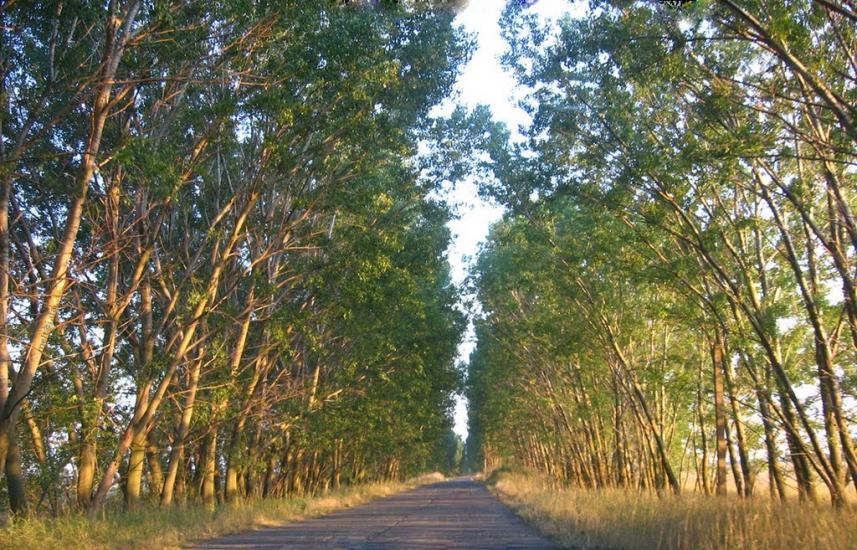 Лазурне з panoramio.com - Лазурное