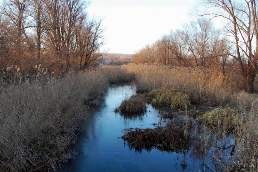 Єпіфанівка з panoramio.com - Єпіфанівка