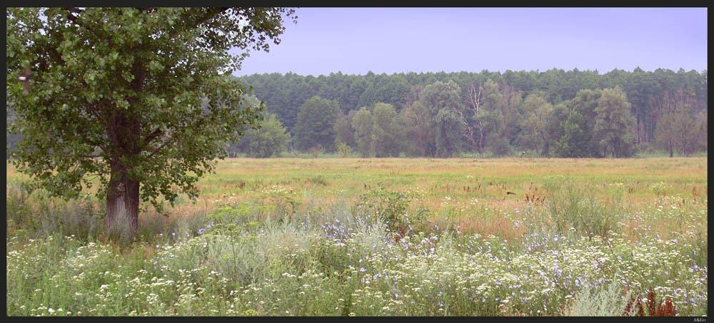 Деменці з panoramio.com - Деменці