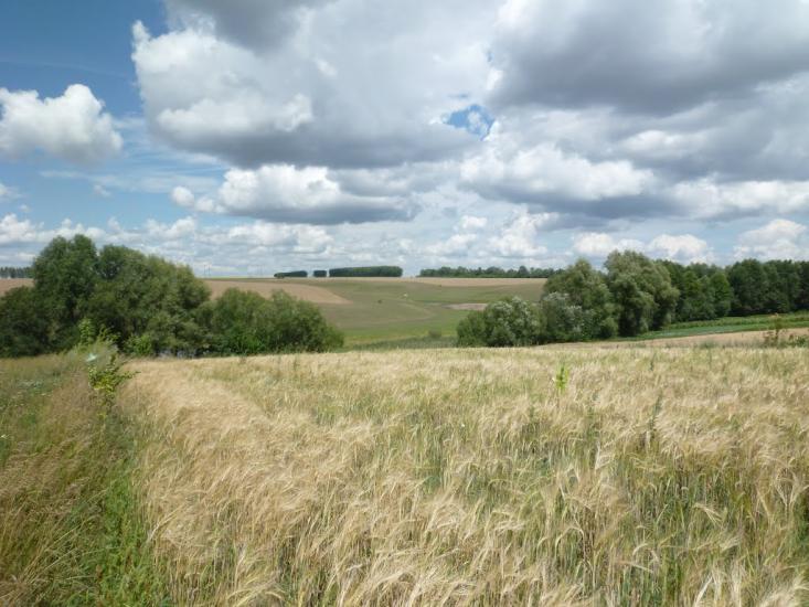 Вербівка з panoramio.com - Вербівка