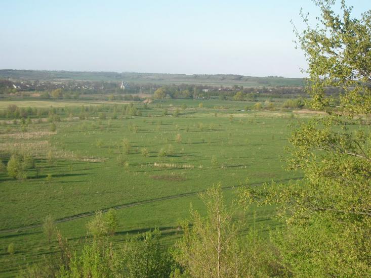 Біляки з panoramio.com - Bilyaky
