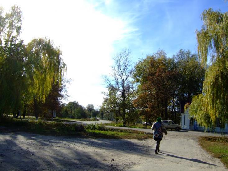 Острів з panoramio.com - Острів
