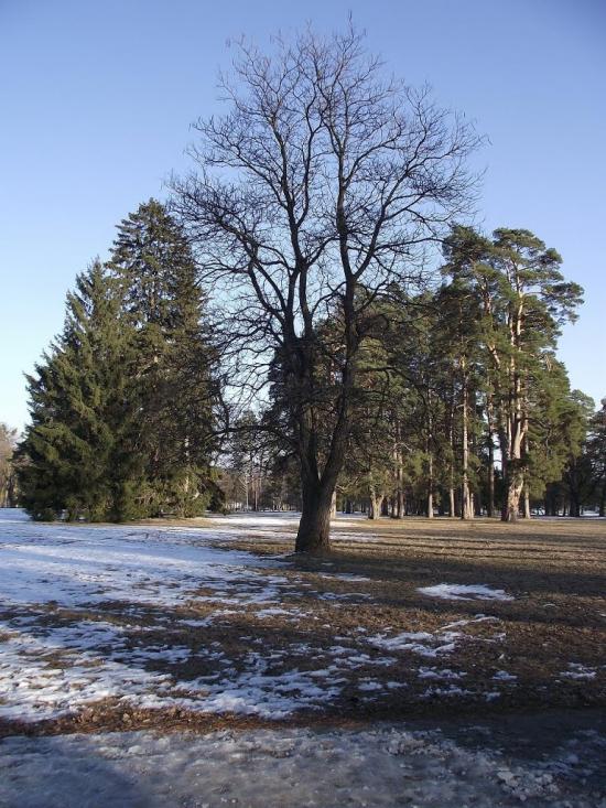 Глибочка з panoramio.com - Глибочка