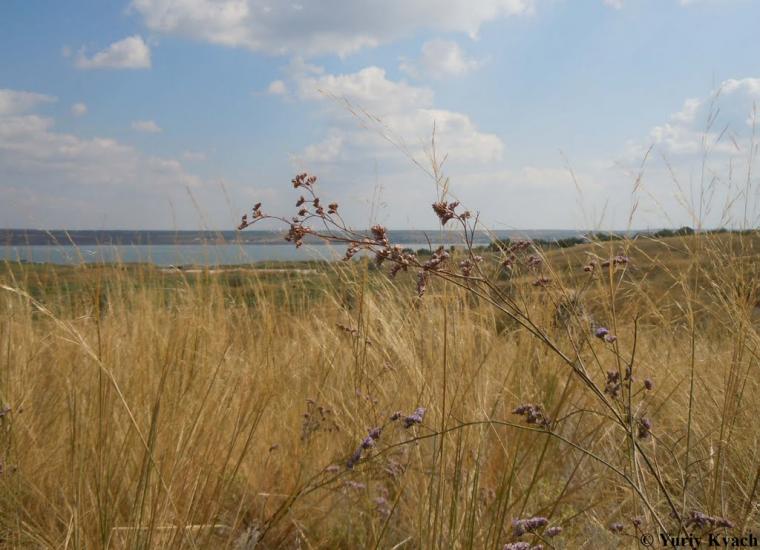 Богнатове з panoramio.com - Богнатове