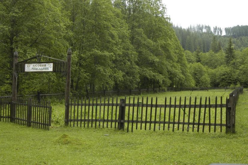 Нижній Яловець з panoramio.com - Нижній Яловець