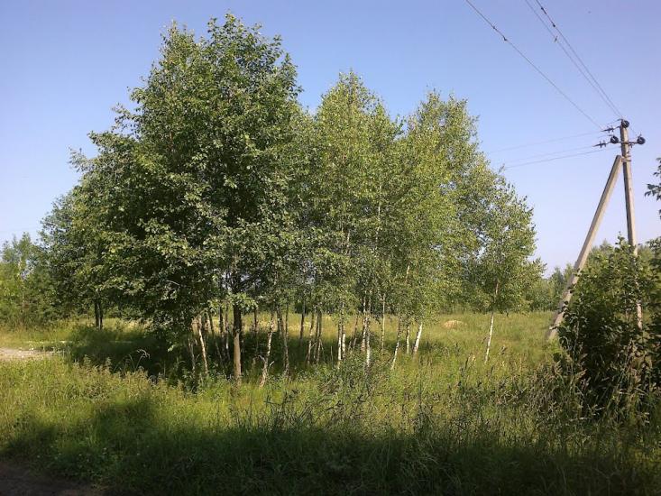 Камінь-Каширський з panoramio.com - Камінь-Каширський