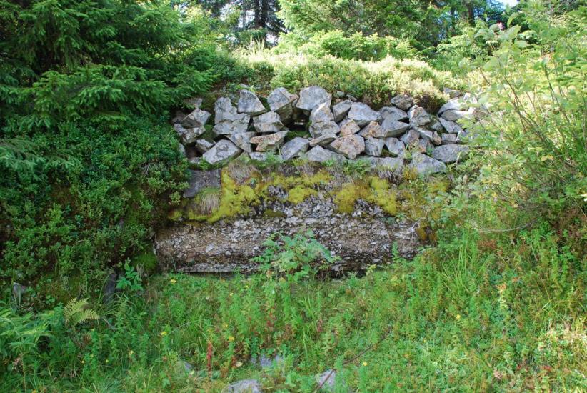 Згари з panoramio.com - Згары