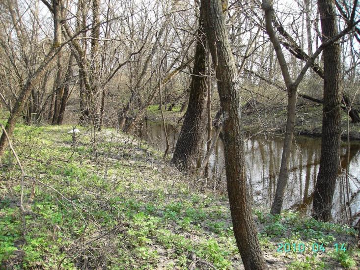 Федорівка з panoramio.com - Федорівка