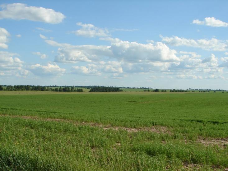 Рудка з panoramio.com - Рудка