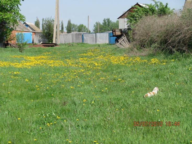 Мілуватка з panoramio.com - Мілуватка