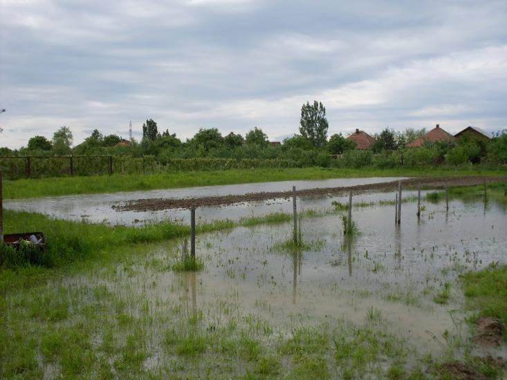 Батьово з panoramio.com - Батево