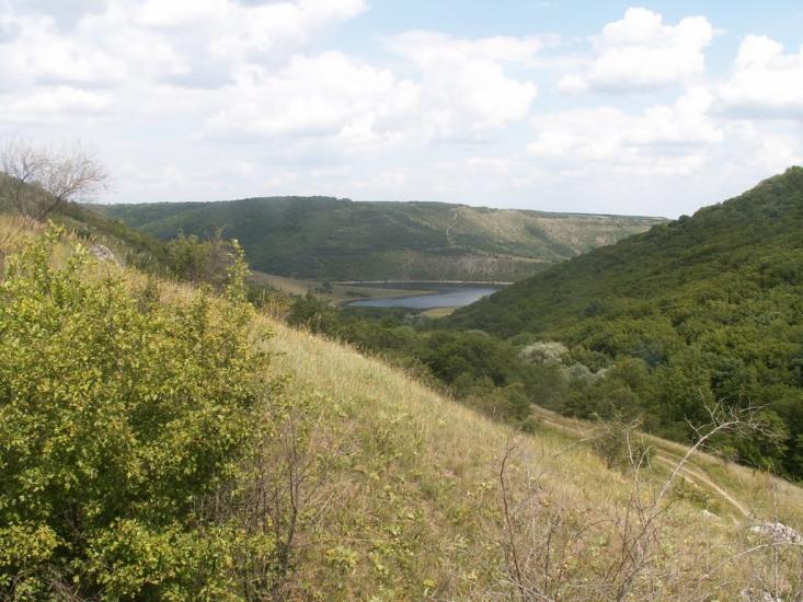 Калачківці з panoramio.com - Kalachkivtsi