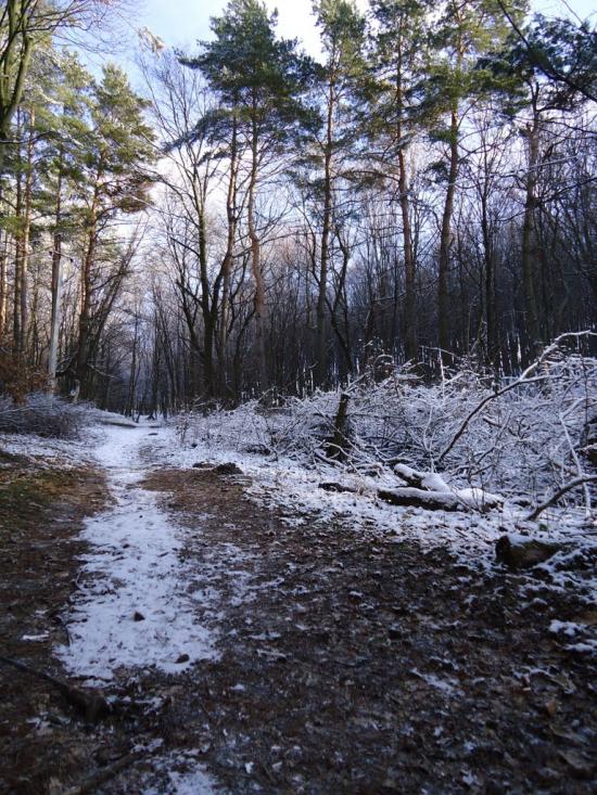Красилів з panoramio.com - Красилів