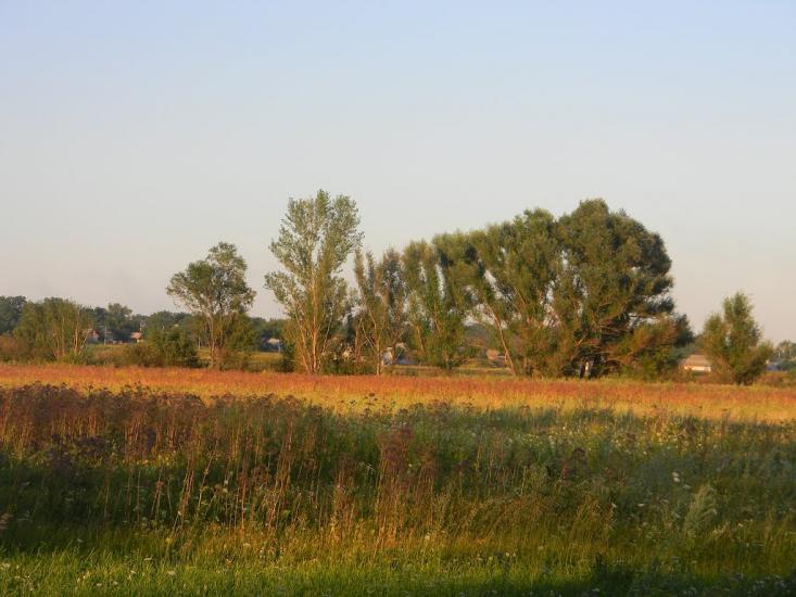 Білозір'я з panoramio.com - Белозерье