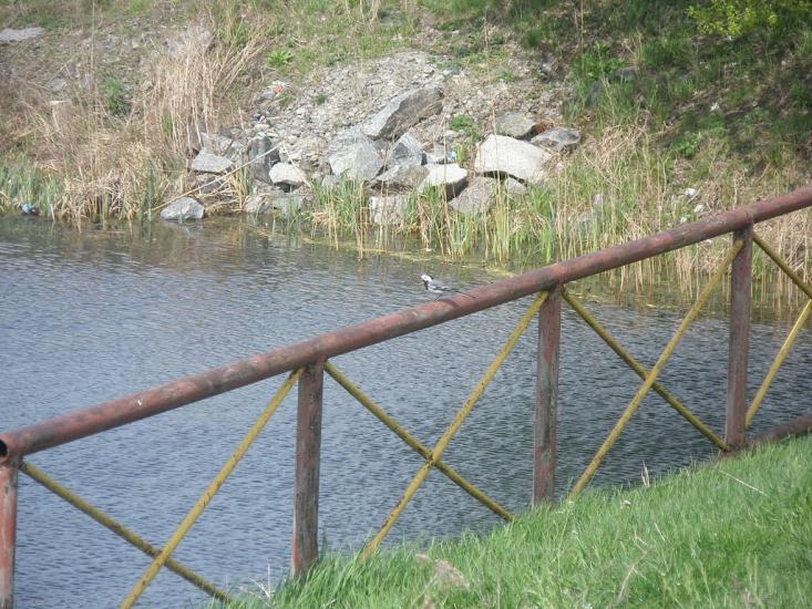 Біляки з panoramio.com - Біляки