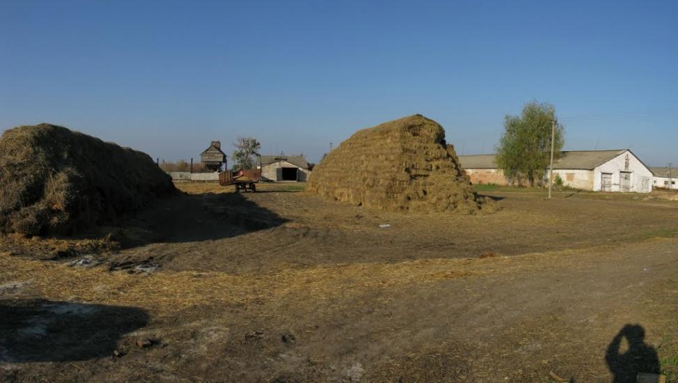 Ясинове з panoramio.com - Ясиновое