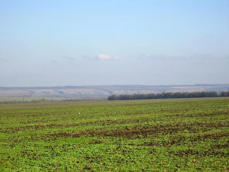 Весняне з panoramio.com - Весняное