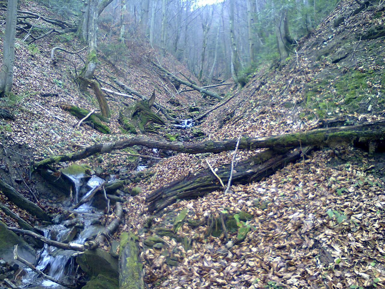 Кіндратів - Кондратов