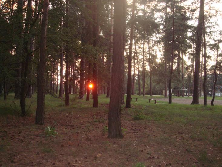 Кодра з panoramio.com - Kodra
